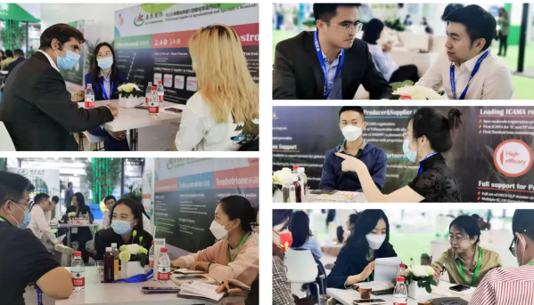 𾢼ACEչᣬ2021ACE칩Ӧ