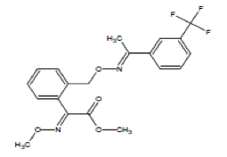 1539310462742043.png 15.png