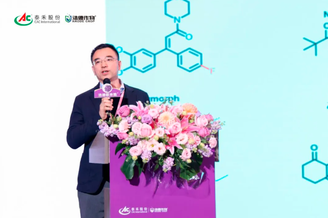 1768729070284560.png image.png