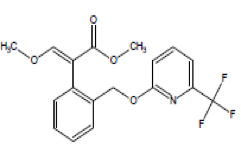 1539147555608226.png 25.png